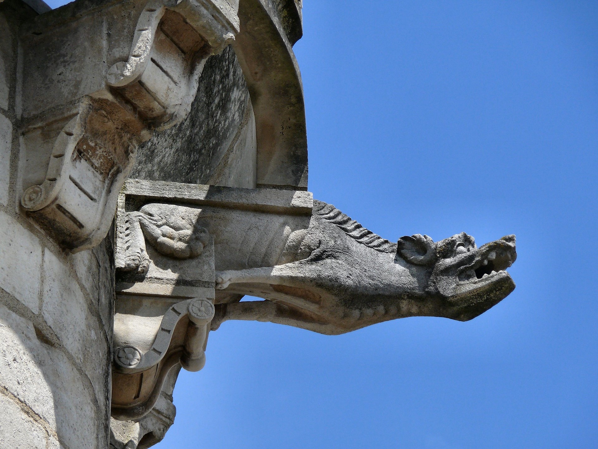 Gargoyles | phillipwhidden.com